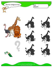 Resmin Gölgesini Bul Çalışma Sayfaları